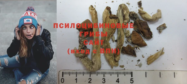 стаф Осташков