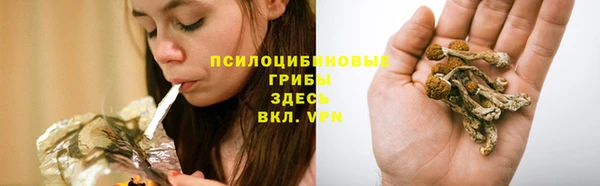 эйфоретик Алзамай