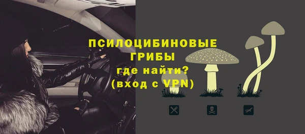 MESCALINE Осинники